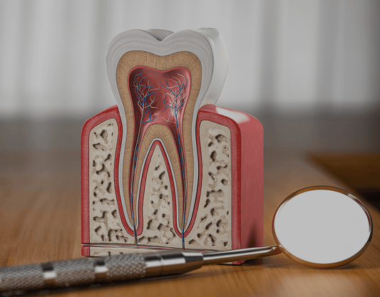 Exposed Tooth Root Symptoms, Causes, and Treatments